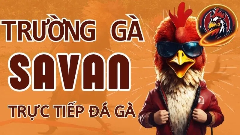 Trường gà Savan Xin88 - Điểm đến lý tưởng chơi đá gà online 4 truong-ga-savan